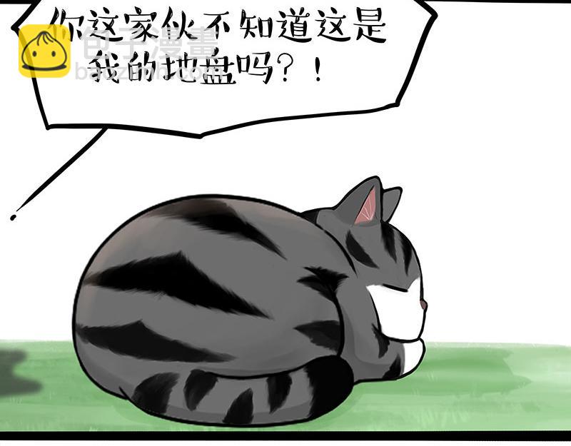 第370话 你就宠它吧20