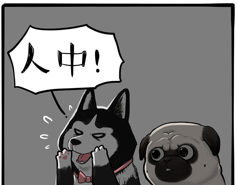 第318话 这狗没白养59