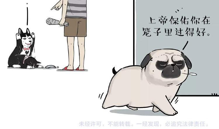 第176话 不要打扰我追求自由78