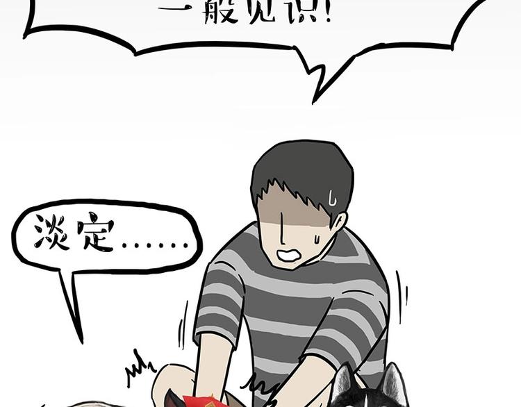 第160话 最差的一届哈士奇！40