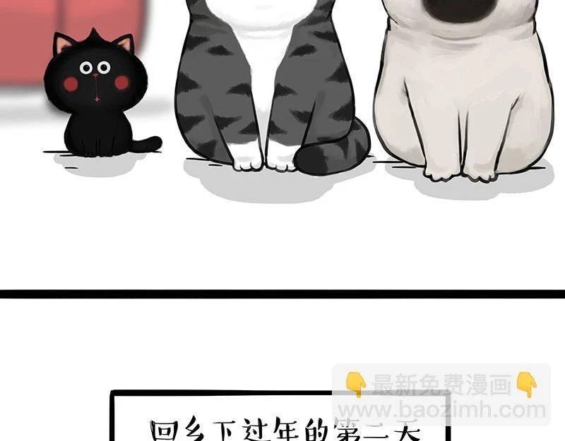 第363话 年年有鱼29