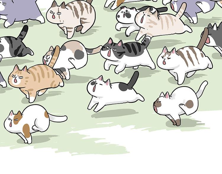 第271话 进击的流浪猫！60