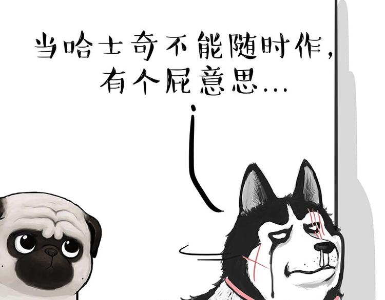 第160话 最差的一届哈士奇！60