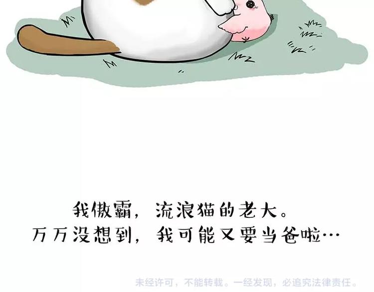 第159话 傲霸日常（二）55