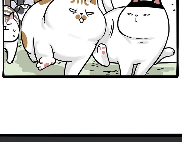 第271话 进击的流浪猫！47