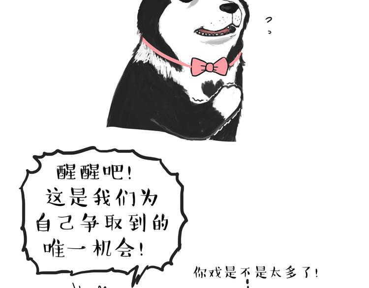 第116话 离家出走5