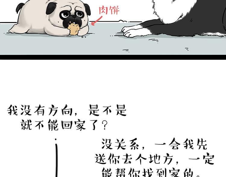 第207话 巴扎黑丢了？！21