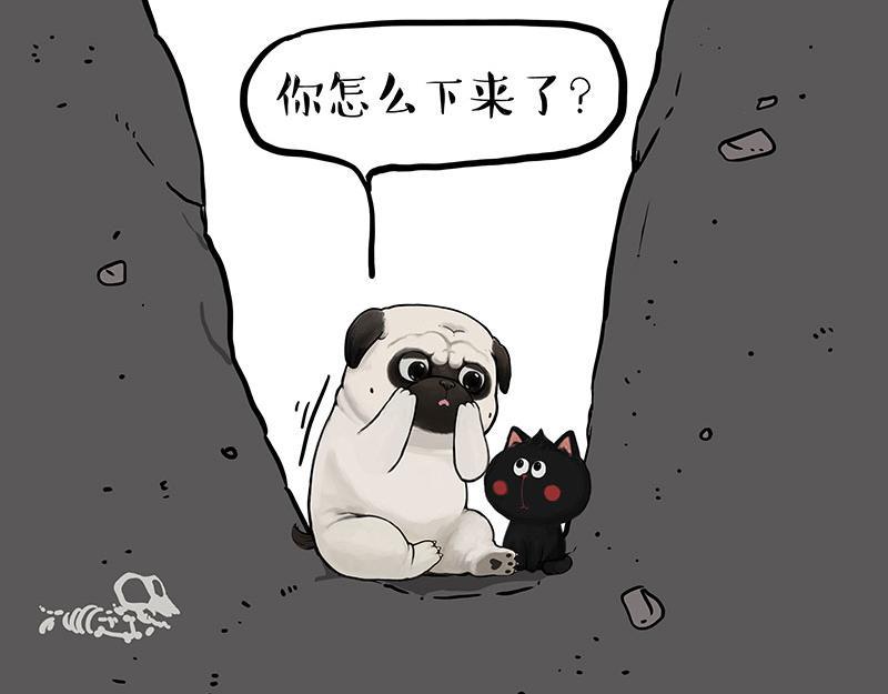 第353话 逆向思维31