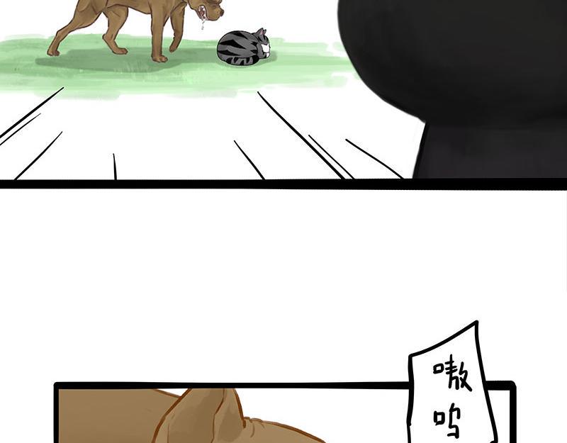 第370话 你就宠它吧29