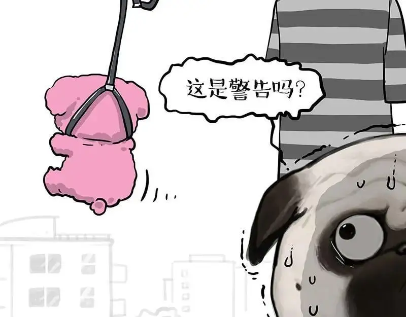 第405话 猫好狗好，人坏7