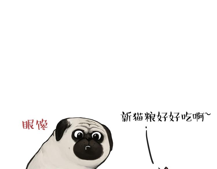 第51话 猫和狗的待遇就是不同7