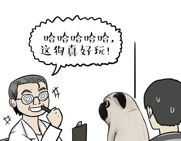 第78话 带宠物看病（上）13