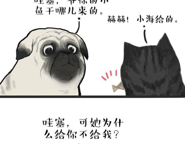 第16话 我家猫怎么能牺牲色相1
