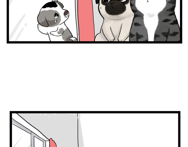 第267话 不让你流浪58