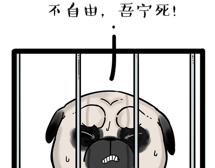 第176话 不要打扰我追求自由61
