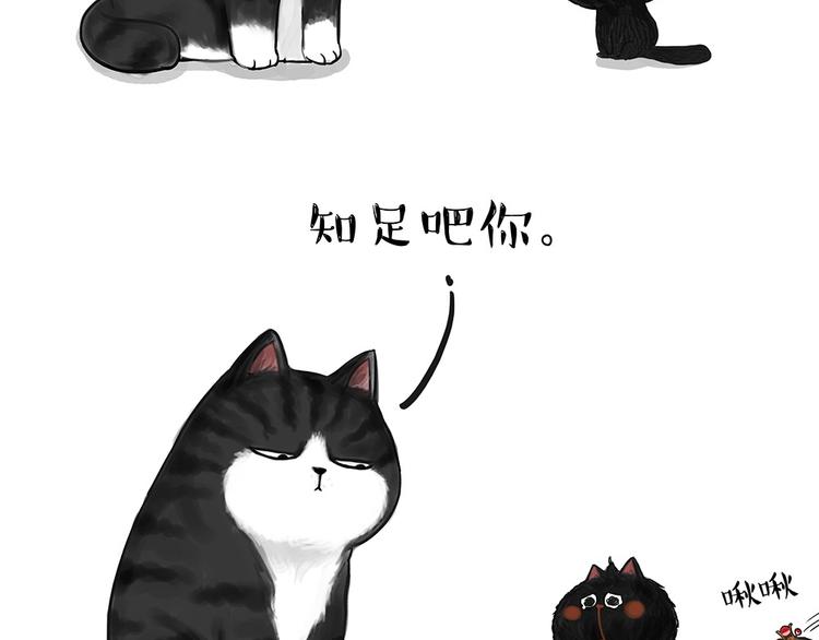 第53话 宠物的压力2