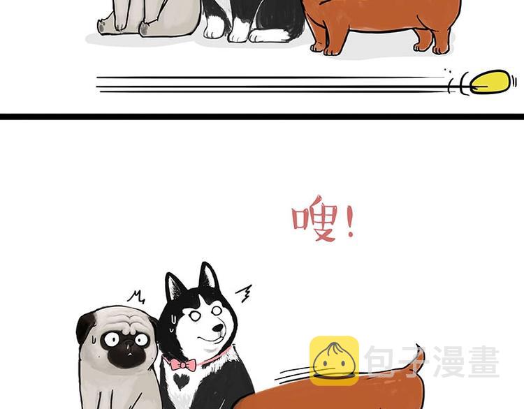 第155话 狗之礼仪8