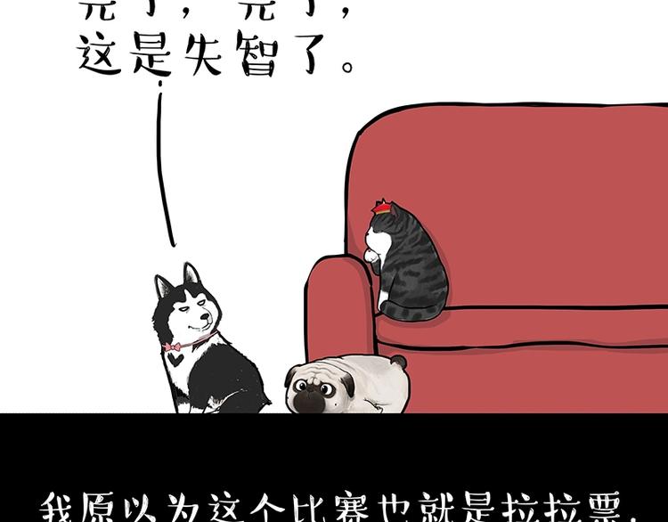 第162话 喵星人选美大赛13