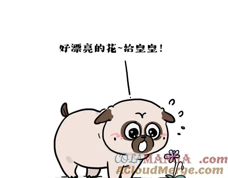 第417话 帅哥你谁28