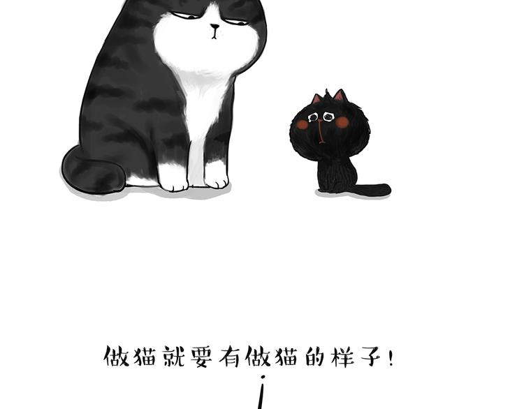 第49话 只见新人笑未闻旧人哭10