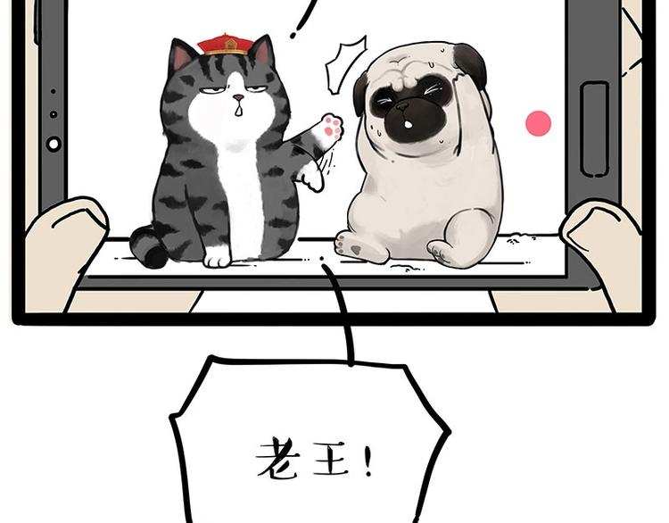 第217话 联手“作案”51