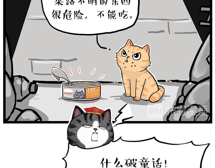 第248话 童话是真的41