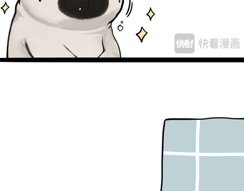 第394话 养狗指南8