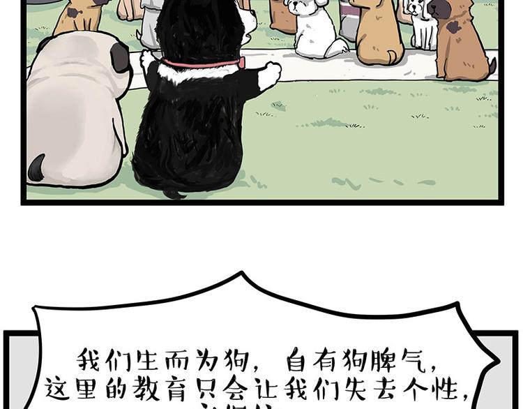 第280话 狗上学54