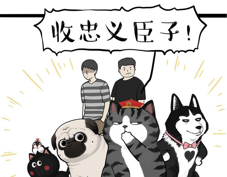 第263话 没心没肺的快乐6