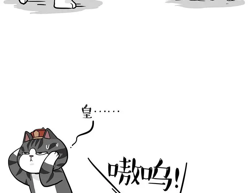第325话 你不守猫德19