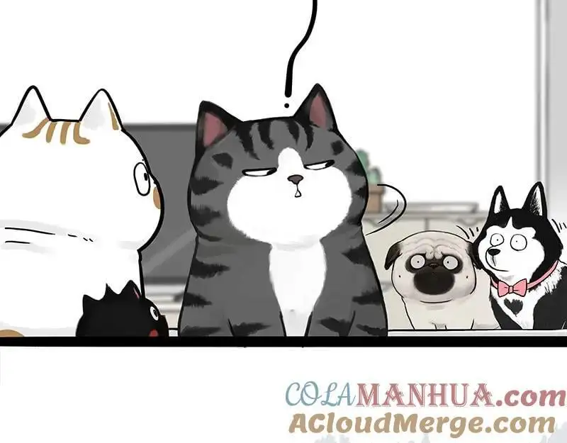 第402话 送走！所有！75