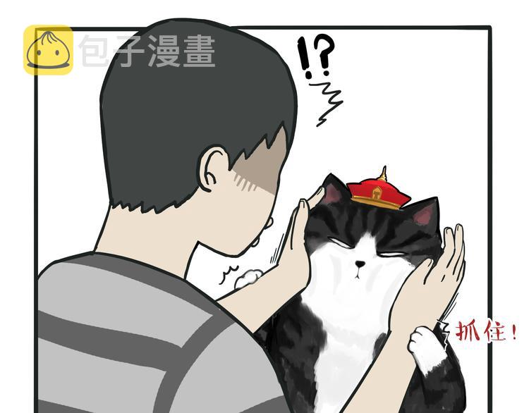第75话 猫奴被嫌弃了2