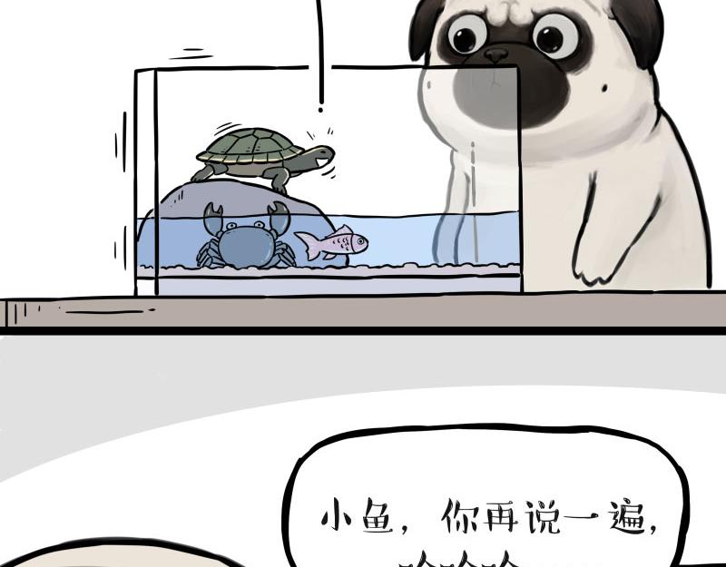 第298话 龟与狗与世界23