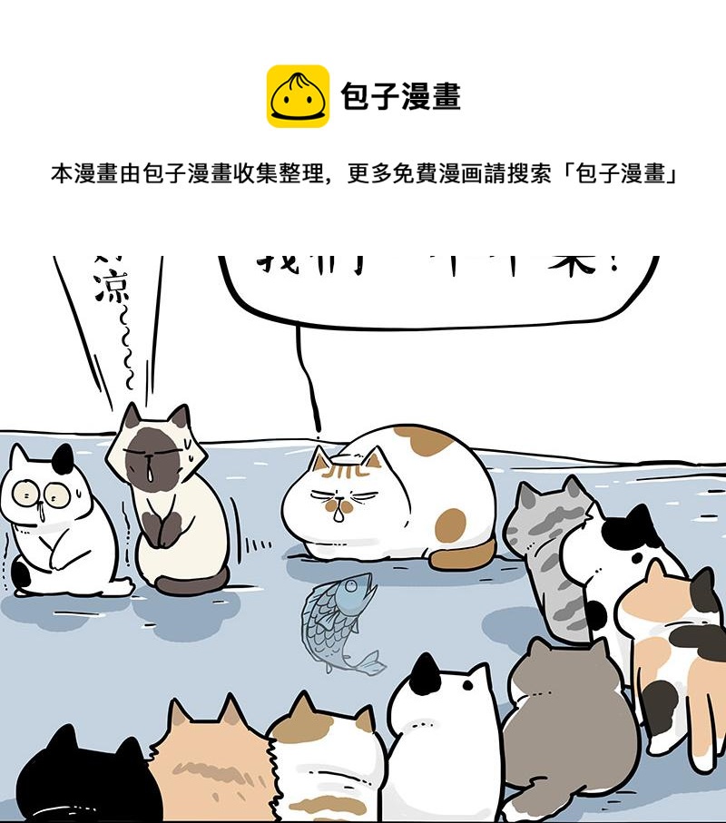 第320话 猫孵鱼28