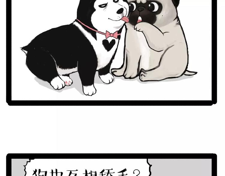 第153话 我最狗23