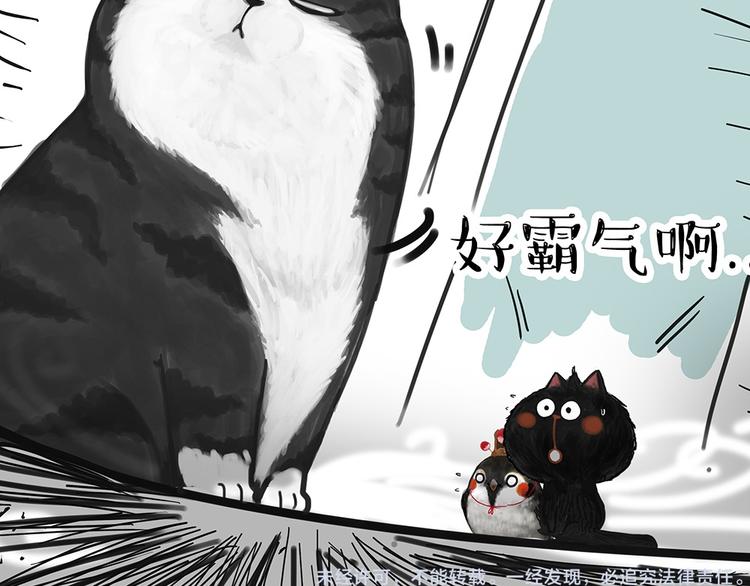 第53话 宠物的压力9