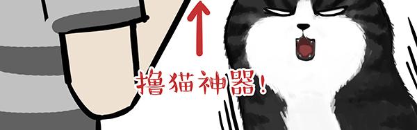 第71话 撸猫神器25