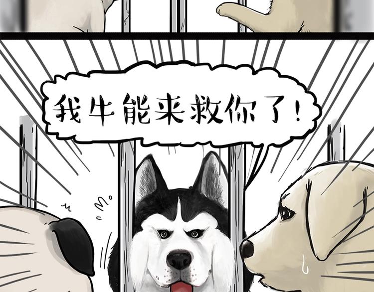 第198话 你爱世界，但我爱你18