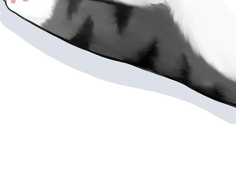 第349话 养只猫吧54