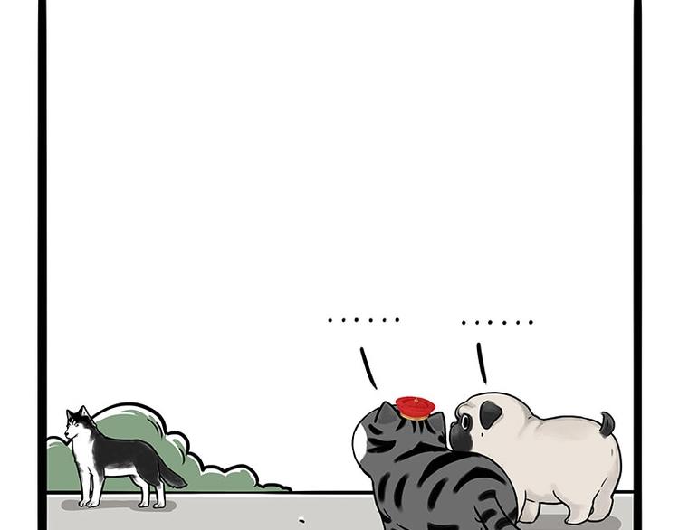 第187话 巴扎黑终究是错付了54
