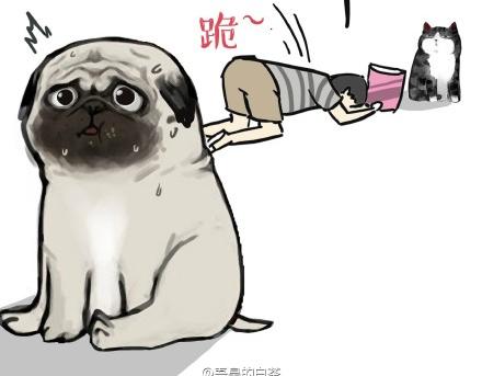 第21话 巴扎黑不是我亲生的！7