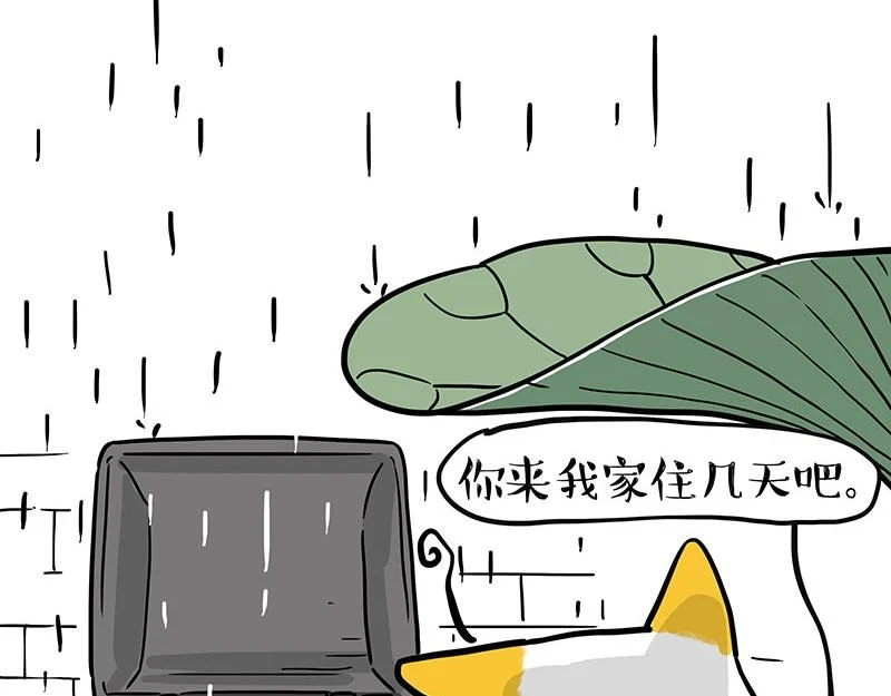 第364话 万一呢？37