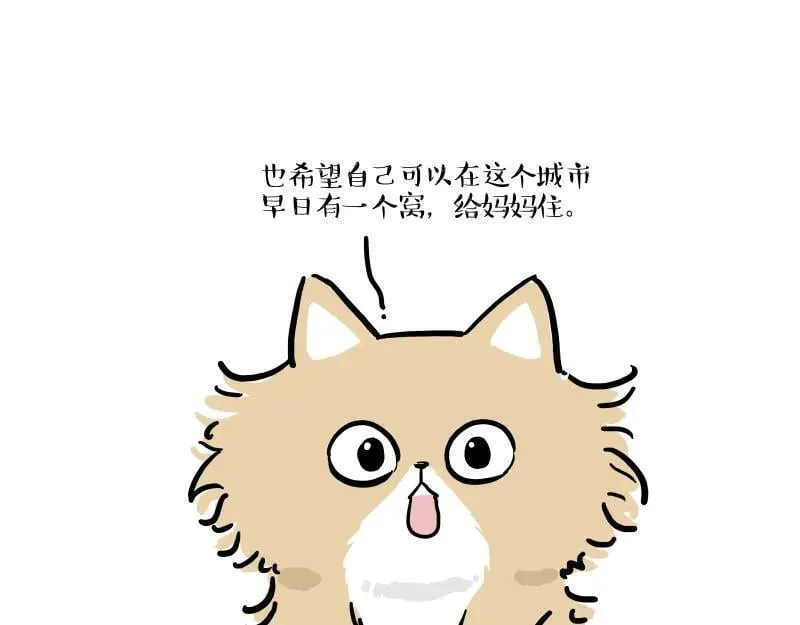 第424话 话痨小猫32