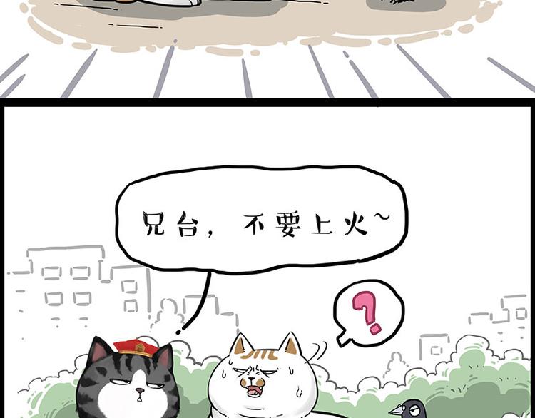 第246话 你被踢了19
