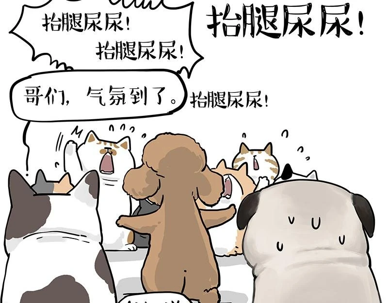 第365话 “神犬”巴扎黑74