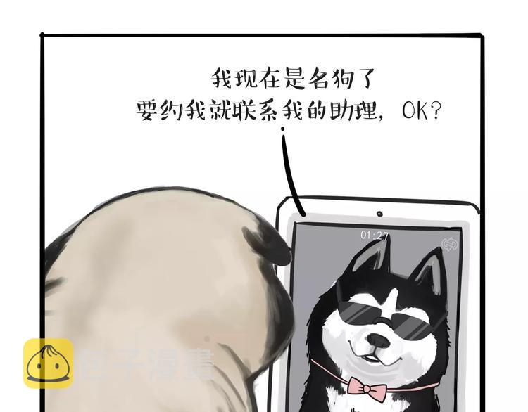 第83话 抓老鼠7