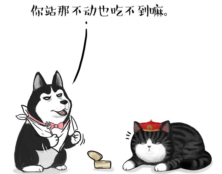 第124话 一只尊贵的喵18