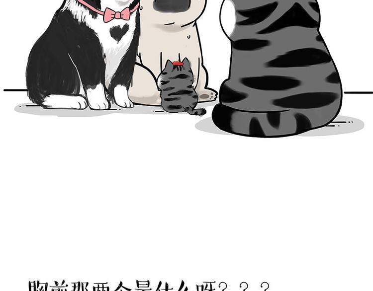 第188话 收破烂也不收你礼物21