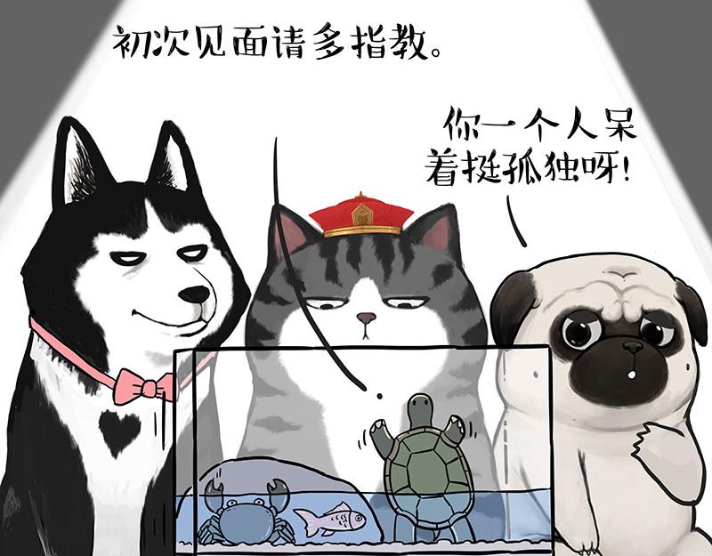 第298话 龟与狗与世界6