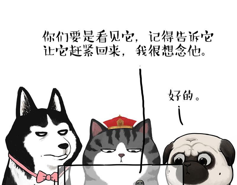 第299话 真假虚实15
